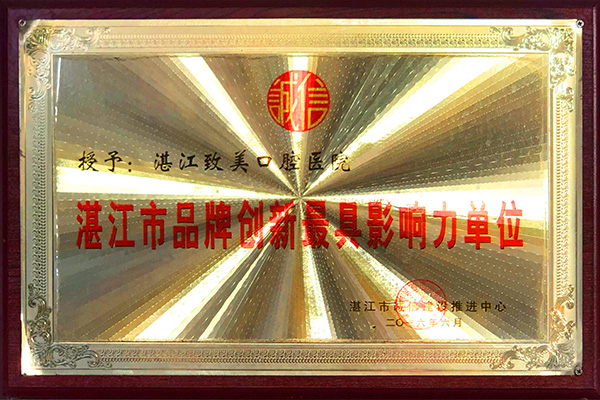 湛江市品牌创新最具影响力单位